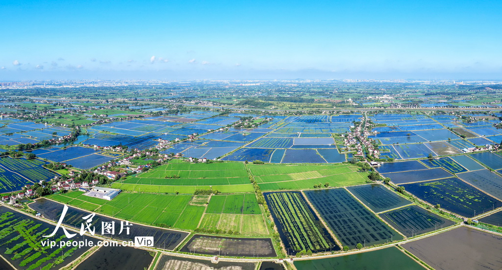 安徽当涂：绘就江南水乡生态新画卷【2】