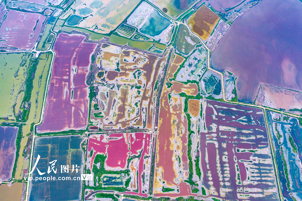 山西运城：盐湖色彩斑斓【5】