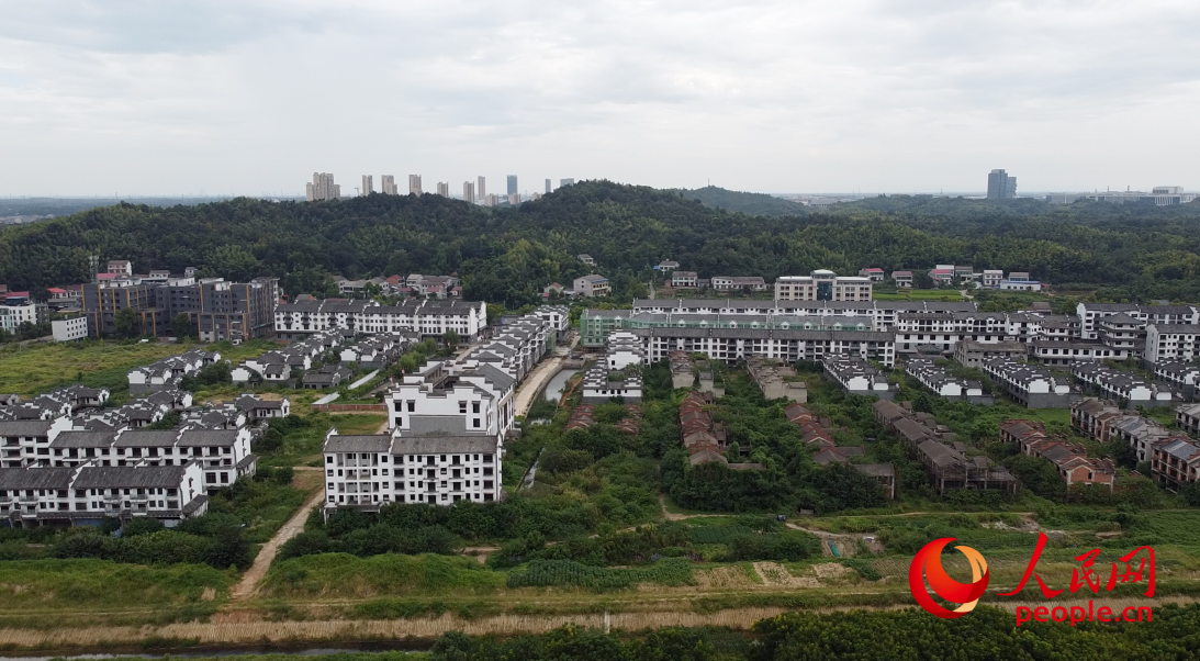 益阳市江南古城杂草丛生。人民网记者 游天燚摄
