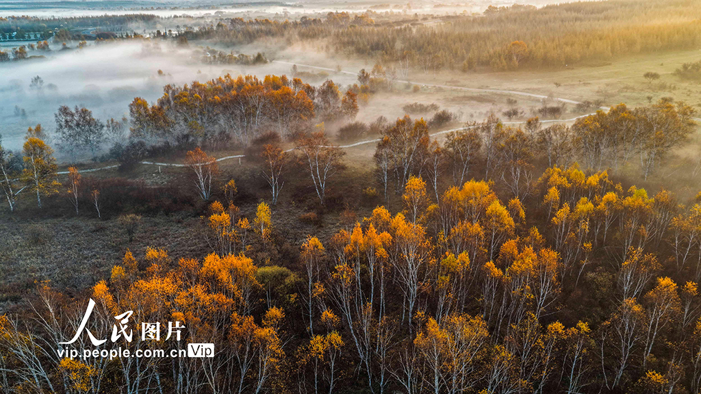 河北围场：坝上草原秋景如画【9】