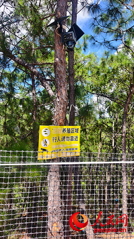 养殖户规范养殖设置的防护措施。人民网记者 符皓摄