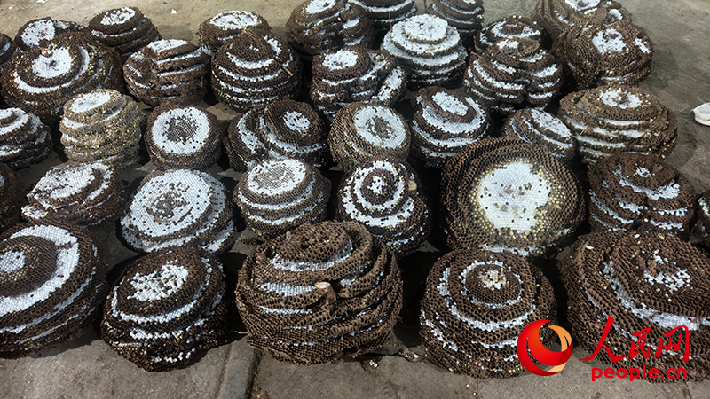 昆明市场上售卖的胡蜂蜂蛹。人民网 尹馨摄