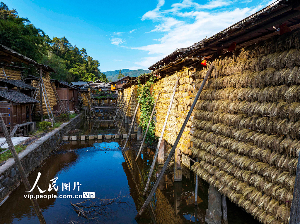 贵州从江：侗寨“晒秋”【2】