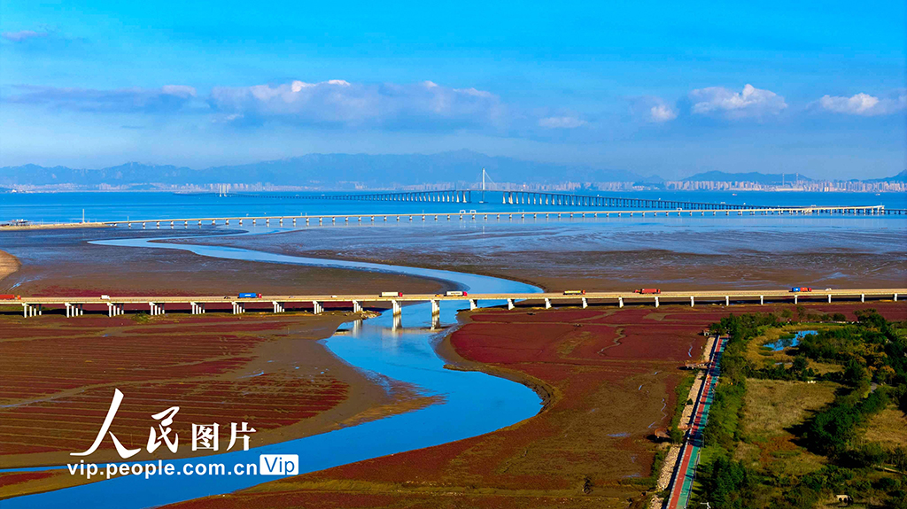 山东青岛：红海滩绚丽多彩【2】