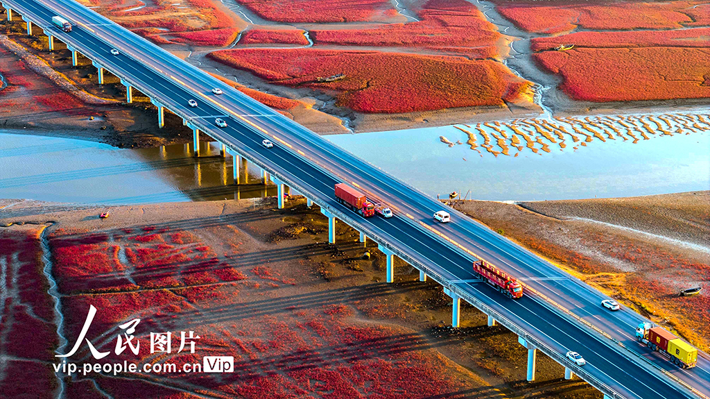 山东青岛：红海滩绚丽多彩【6】