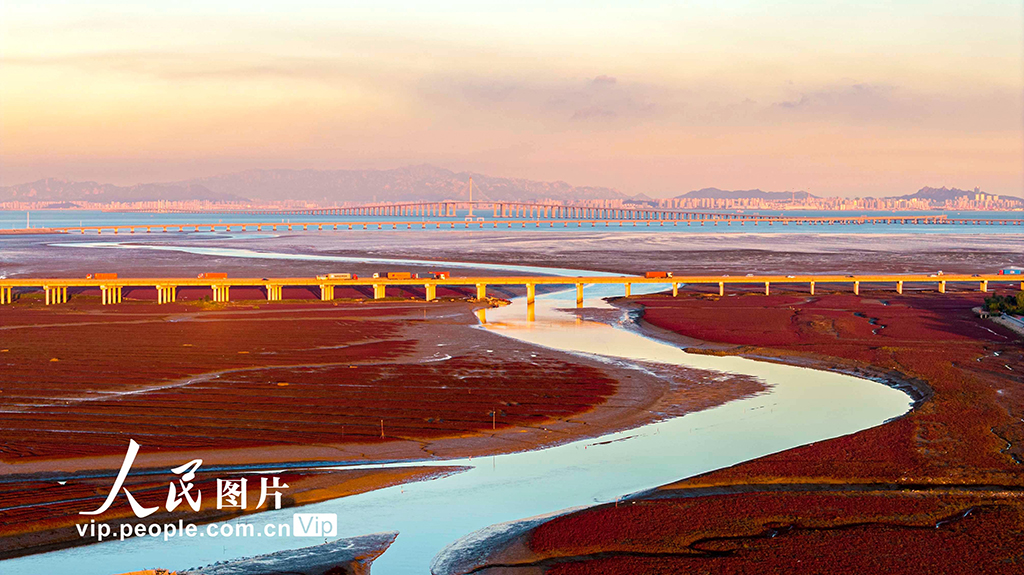 山东青岛：红海滩绚丽多彩【8】