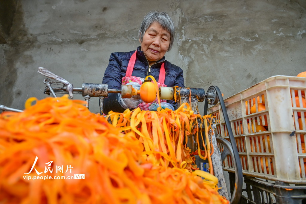 河南宜阳：柿饼加工【2】