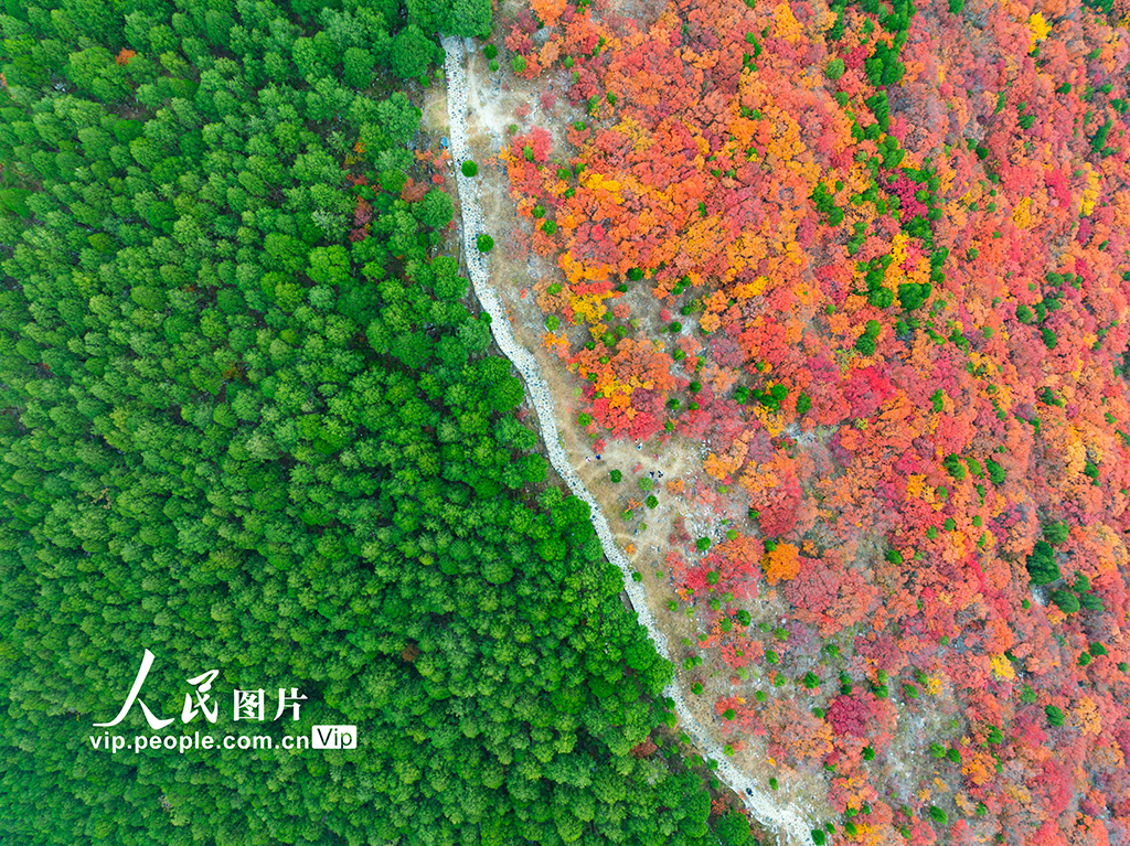 山东济南：看秋色“平分”【4】