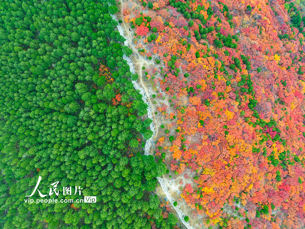 山东济南：看秋色“平分”【5】