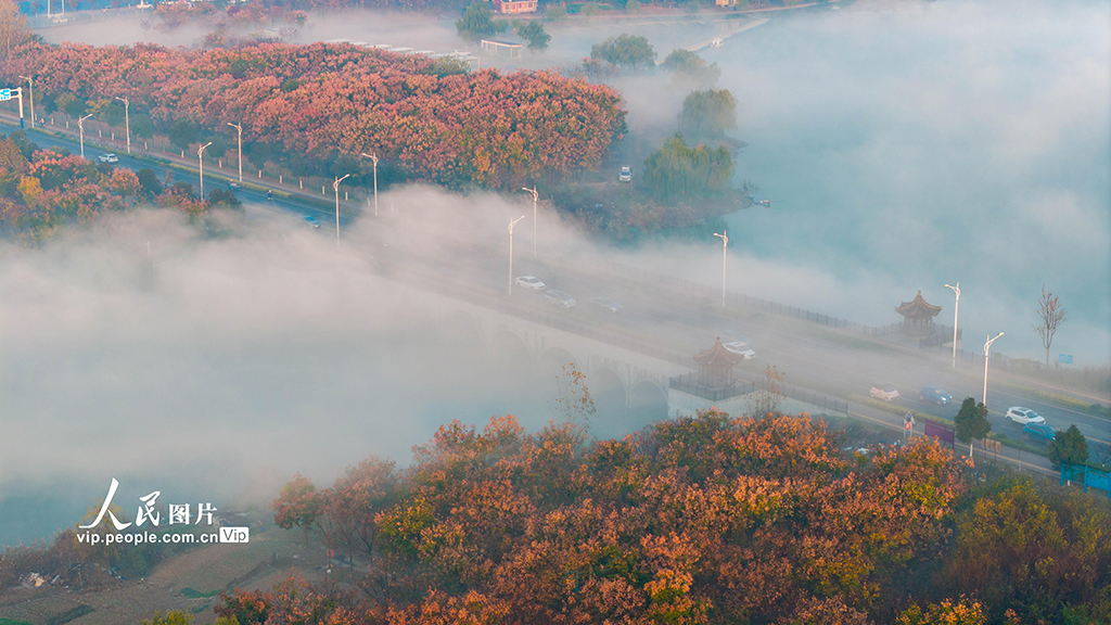 安徽淮北：冬日云海【3】