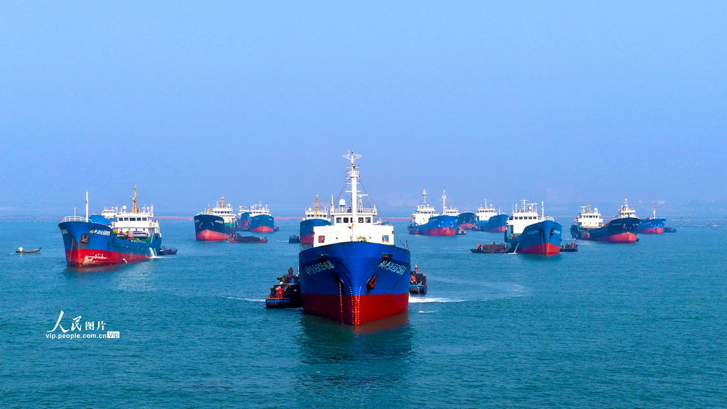 山东荣成：鲍鱼苗“南迁”