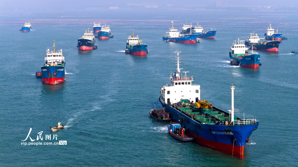 山东荣成：鲍鱼苗“南迁”【2】