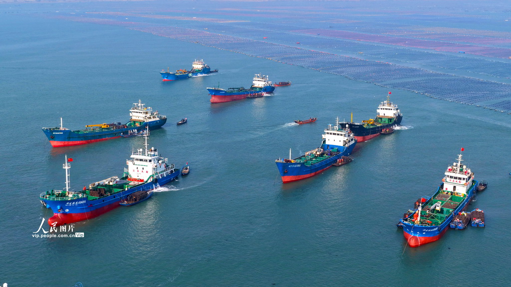 山东荣成：鲍鱼苗“南迁”【5】