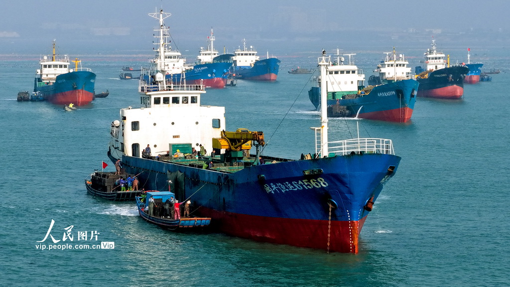 山东荣成：鲍鱼苗“南迁”【6】