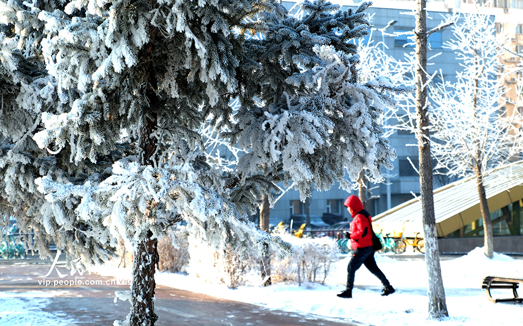 辽宁沈阳：雾凇美景醉游人【2】