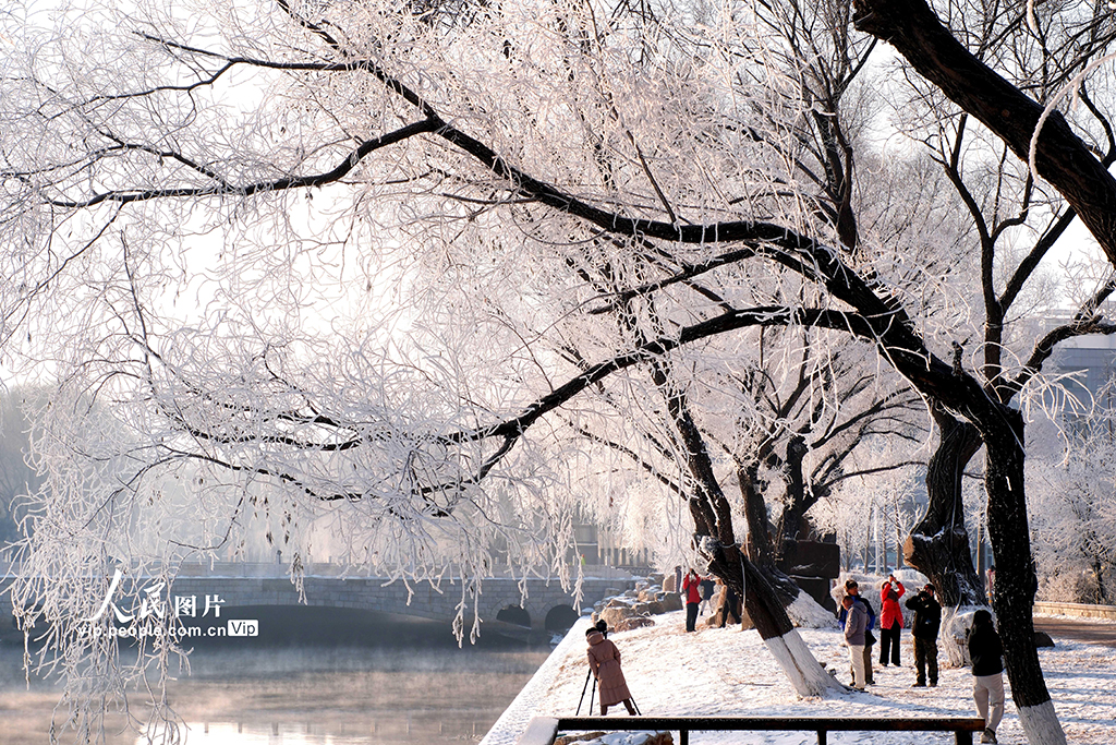 辽宁沈阳：雾凇美景醉游人【4】