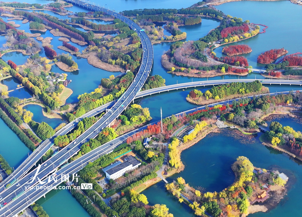 江苏苏州：虎丘湿地色彩斑斓美如画【2】