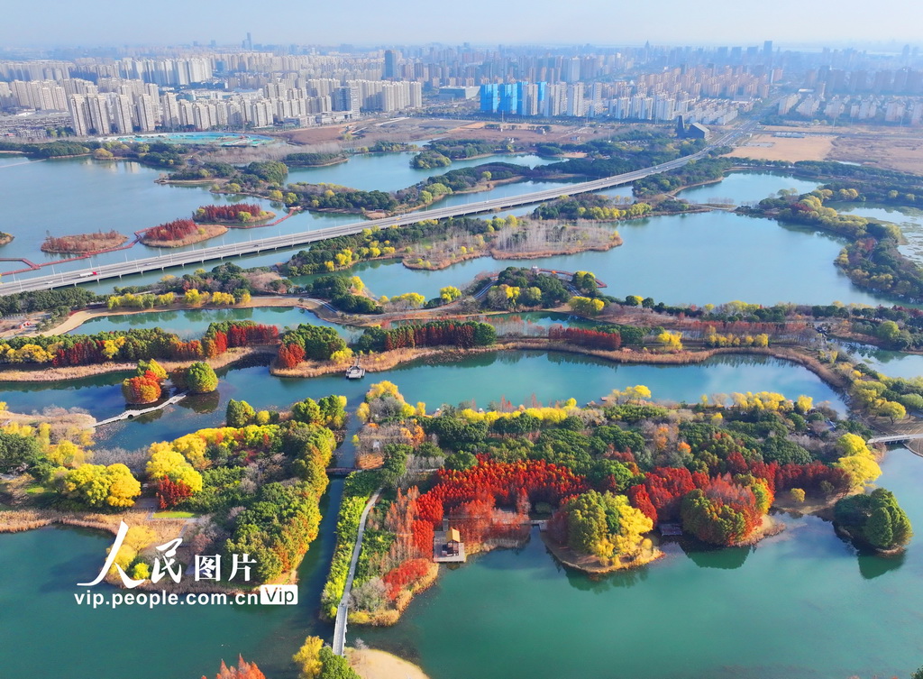 江苏苏州：虎丘湿地色彩斑斓美如画【3】