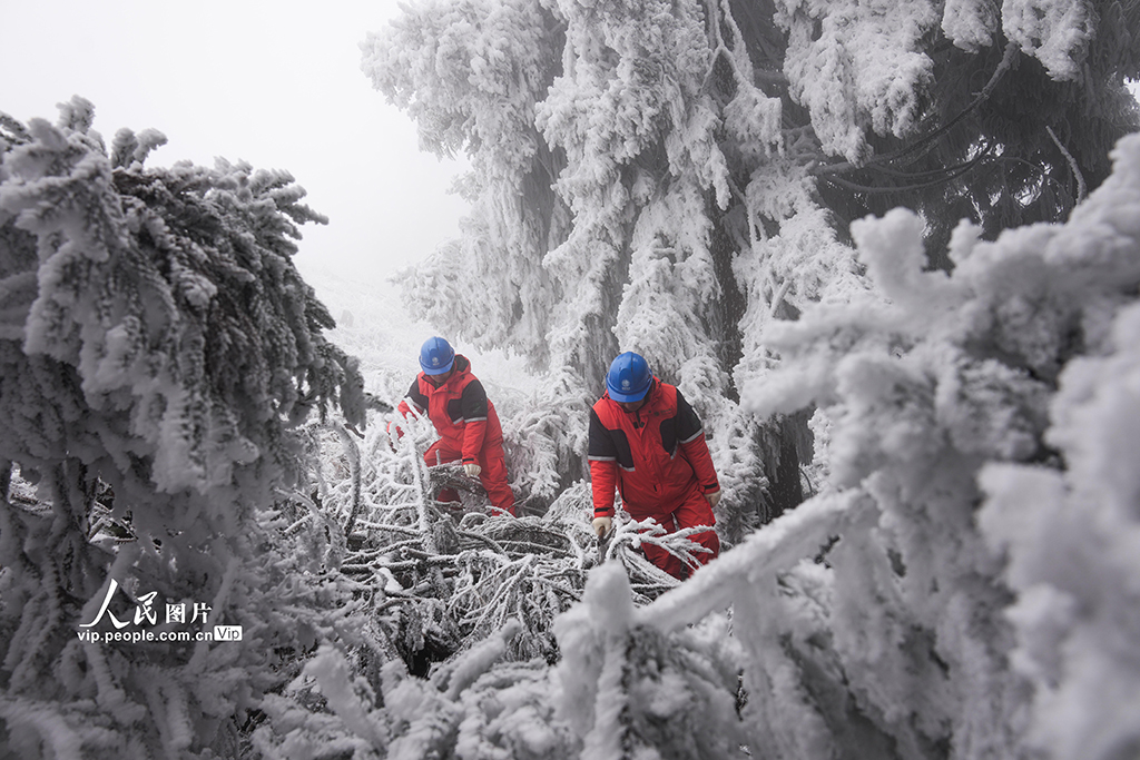 湖北鹤峰：冒雪巡线保供电【3】