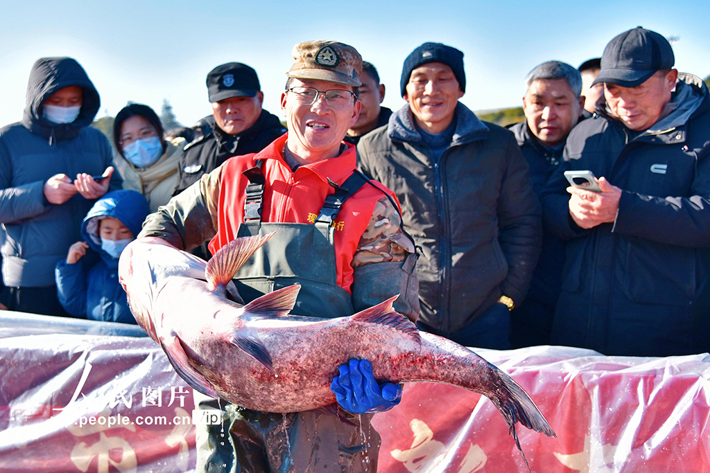 江苏如皋：龙游湖冬捕迎新春【2】