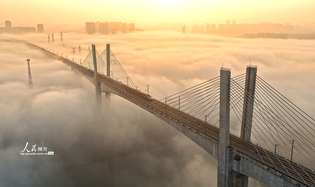 四川泸州：晨雾迷漫宛如“天空之城”【3】