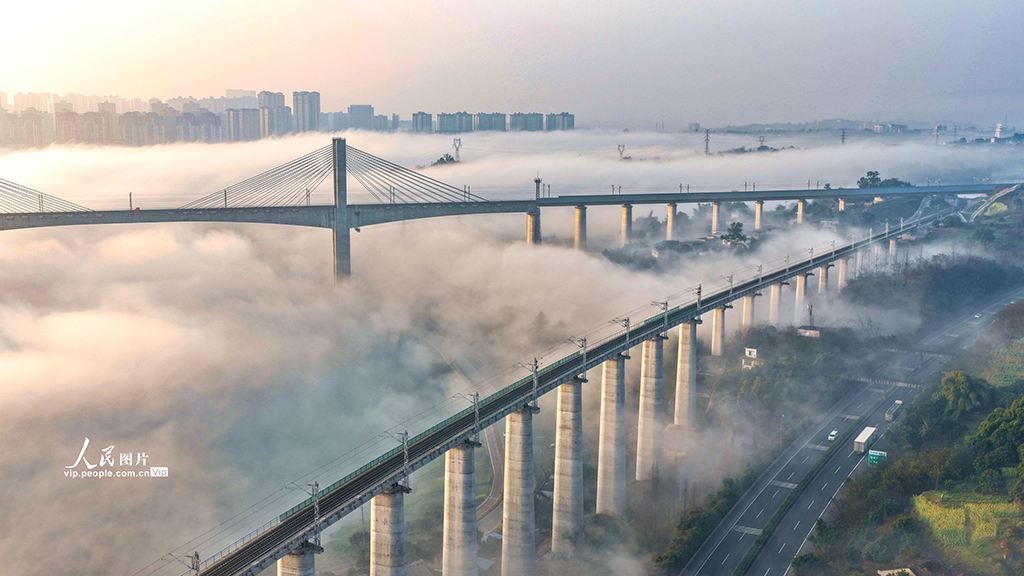 四川泸州：晨雾迷漫宛如“天空之城”【4】