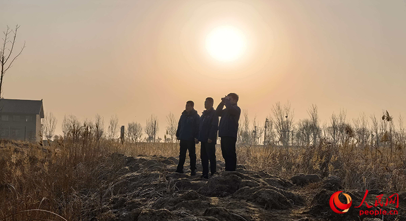 志愿者沿着芦苇荡不雅测巡护。东谈主民网记者 申亚欣摄