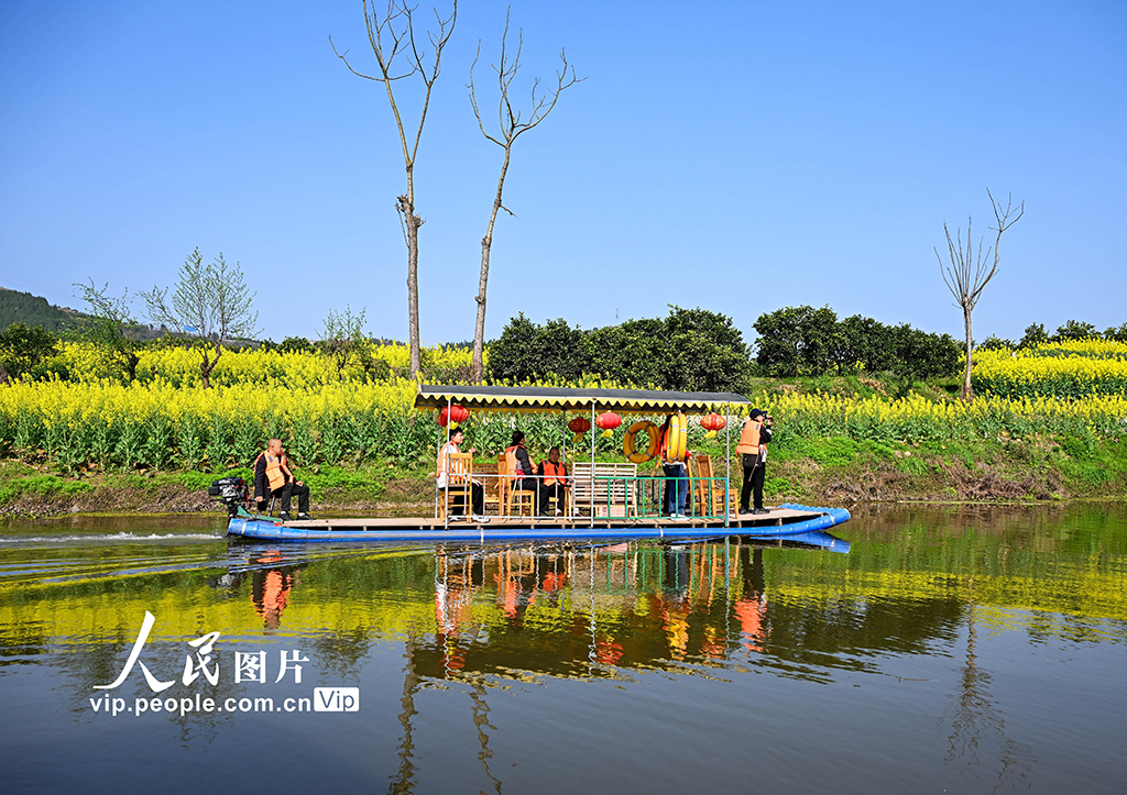 四川蓬安：油菜花开引客来【7】