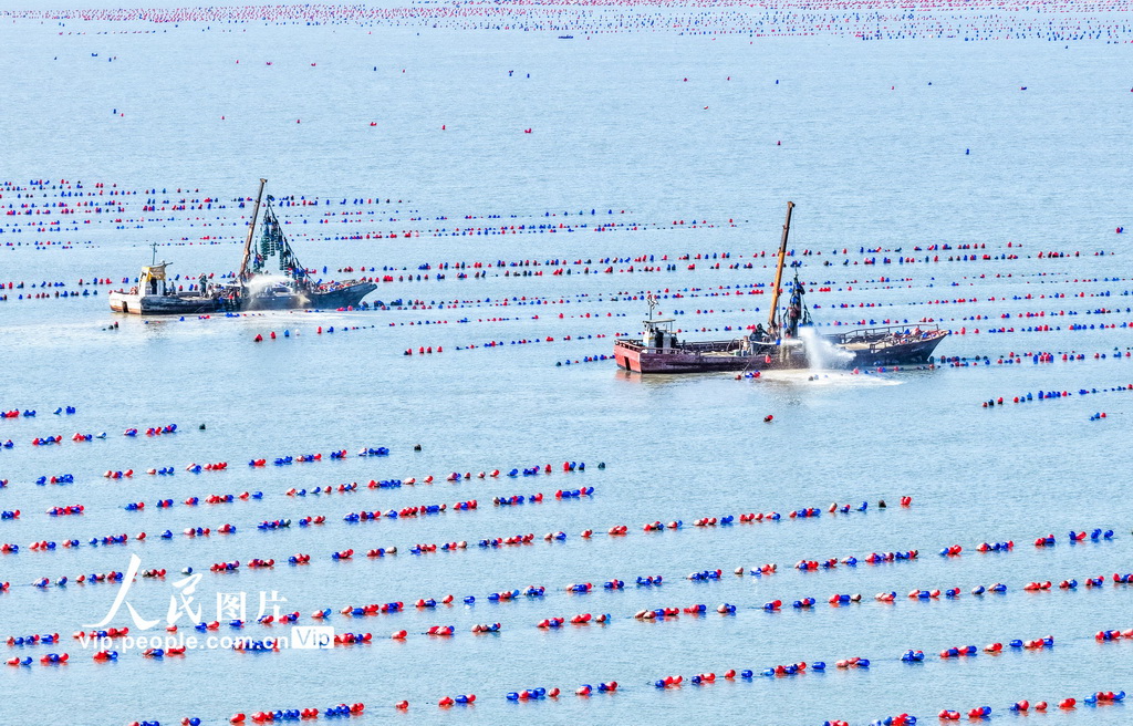 江苏连云港：“海洋牧场”春潮涌动【2】