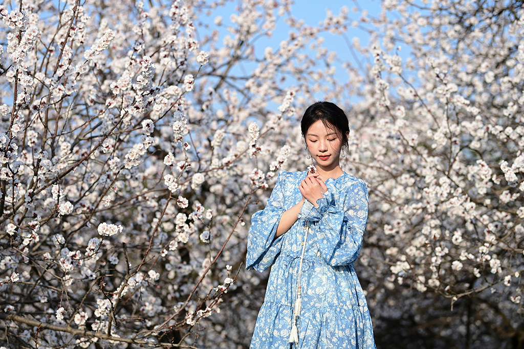 3月9日，游人在西安大明宫国家遗址公园赏花留影。