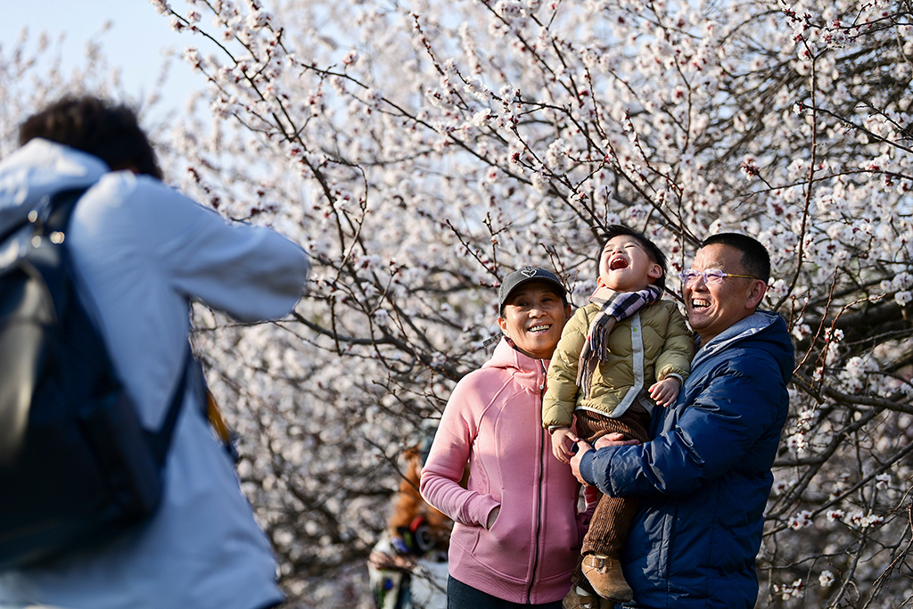 3月9日，游人在西安大明宫国家遗址公园赏花留影。