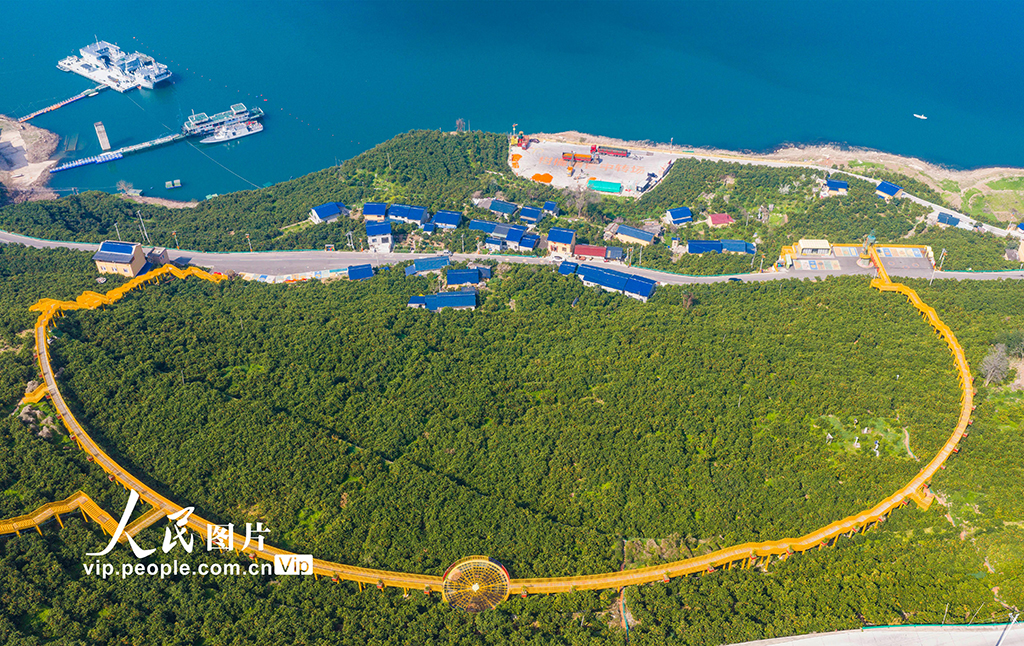 湖北秭归：春橙飘香助增收【6】