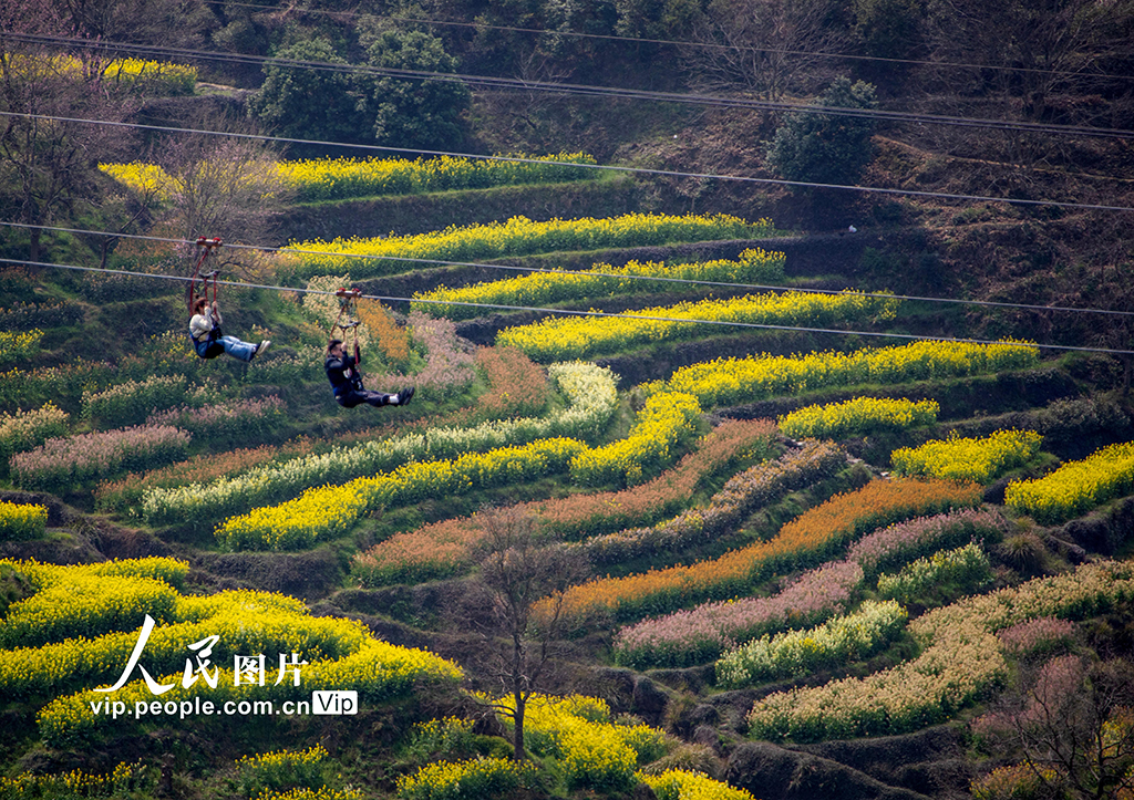 江西婺源：篁岭景区游人如织【4】