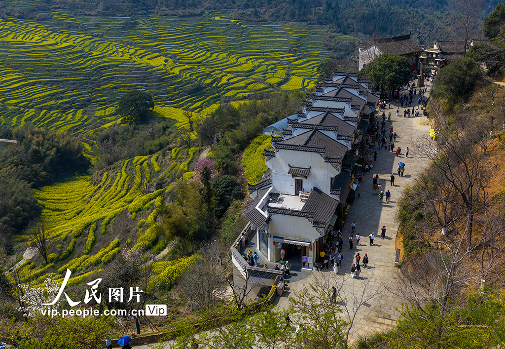 江西婺源：篁岭景区游人如织【6】