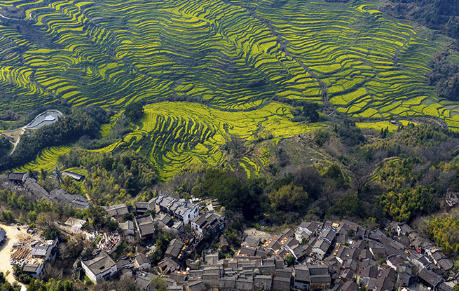 江西婺源：篁岭景区游人如织