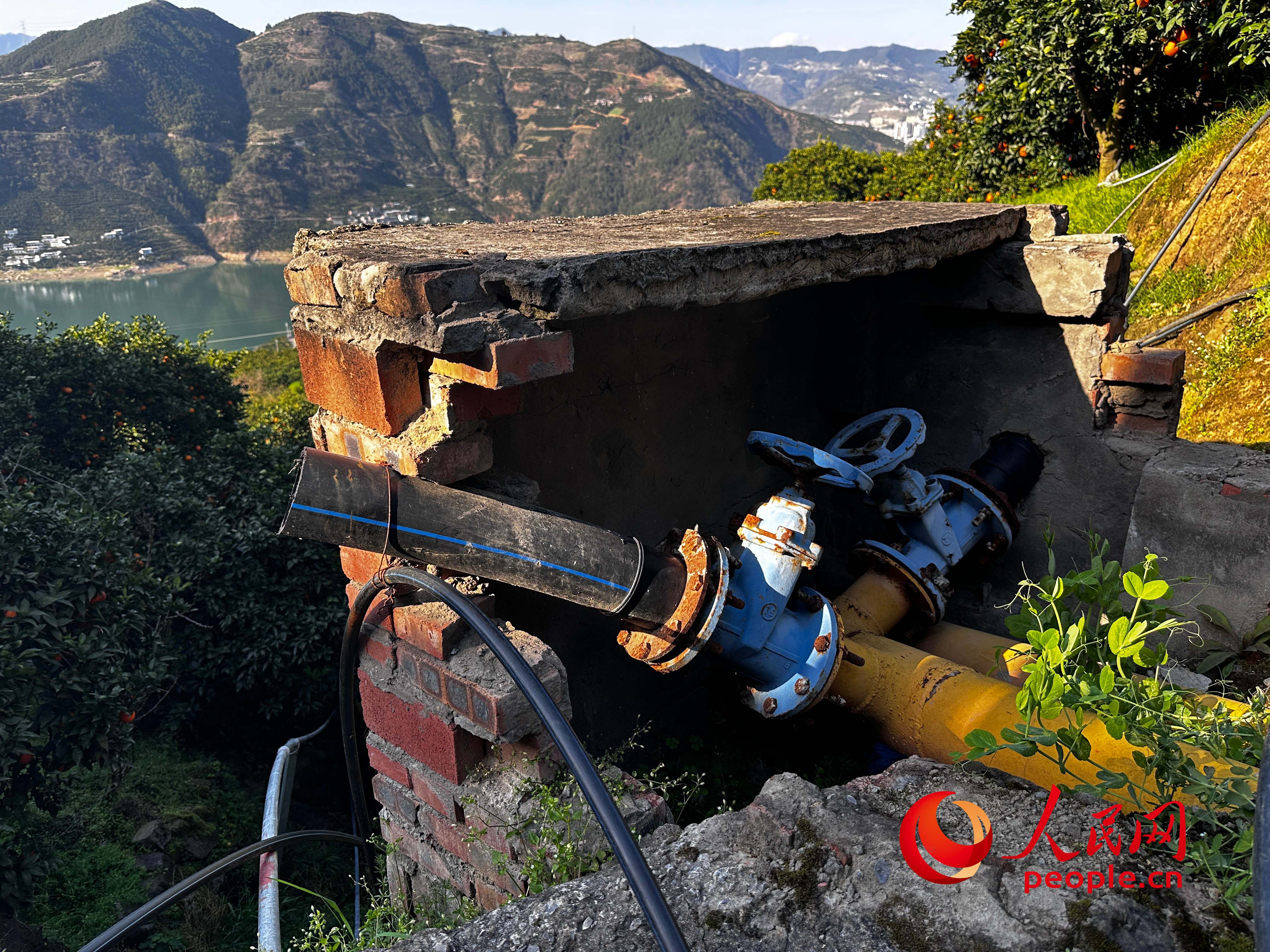 灌溉工程管道被锯断。人民网记者 游天燚摄