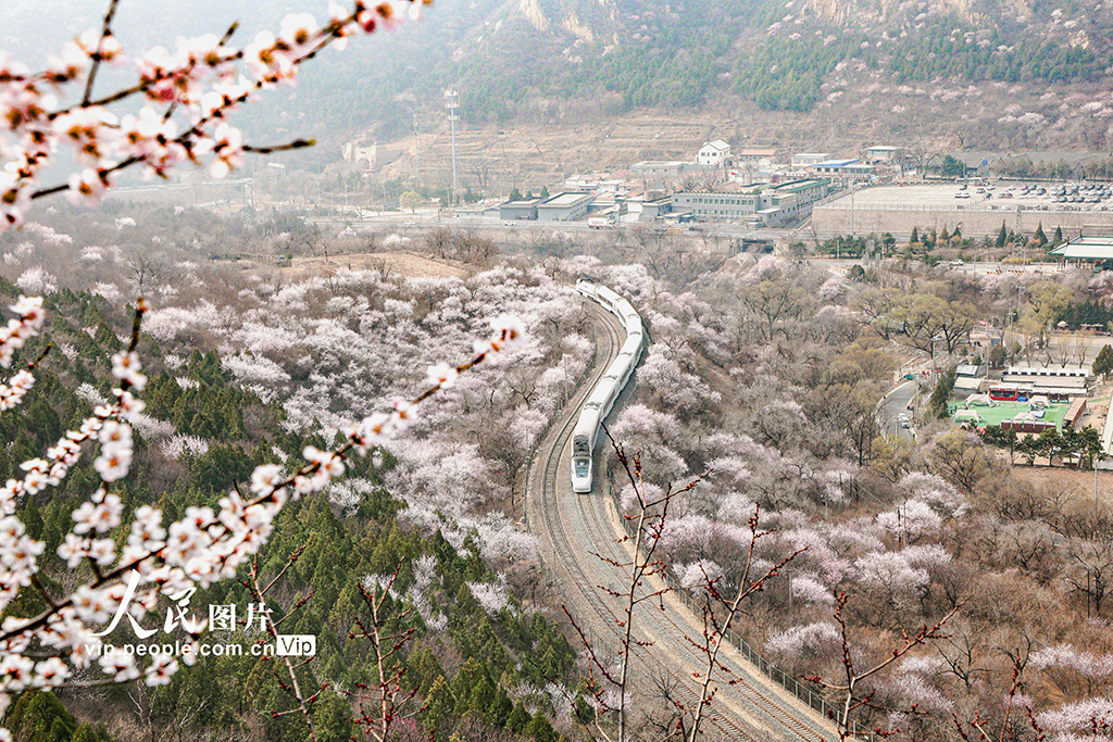 北京：开往春天的列车【2】