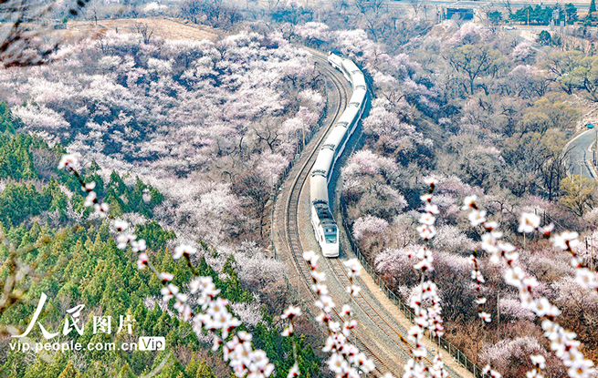 北京：开往春天的列车