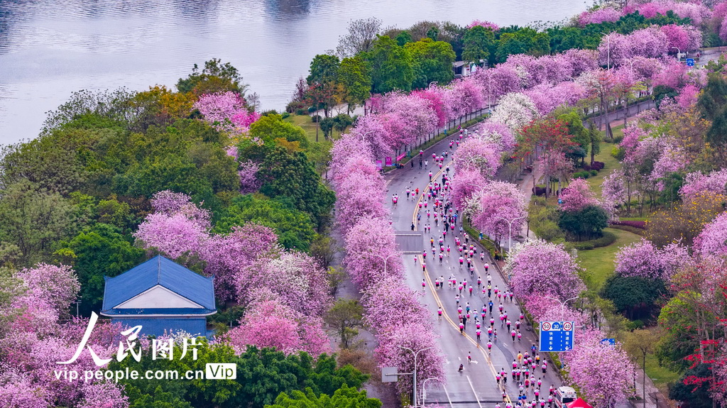 广西柳州：花海赛谈献技全民跑