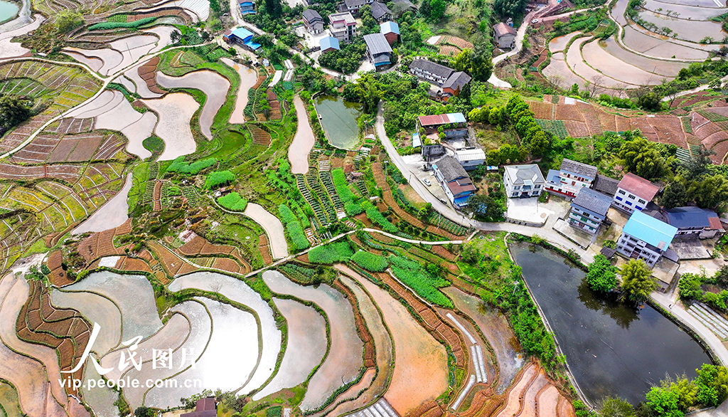 重庆：梯田美如画