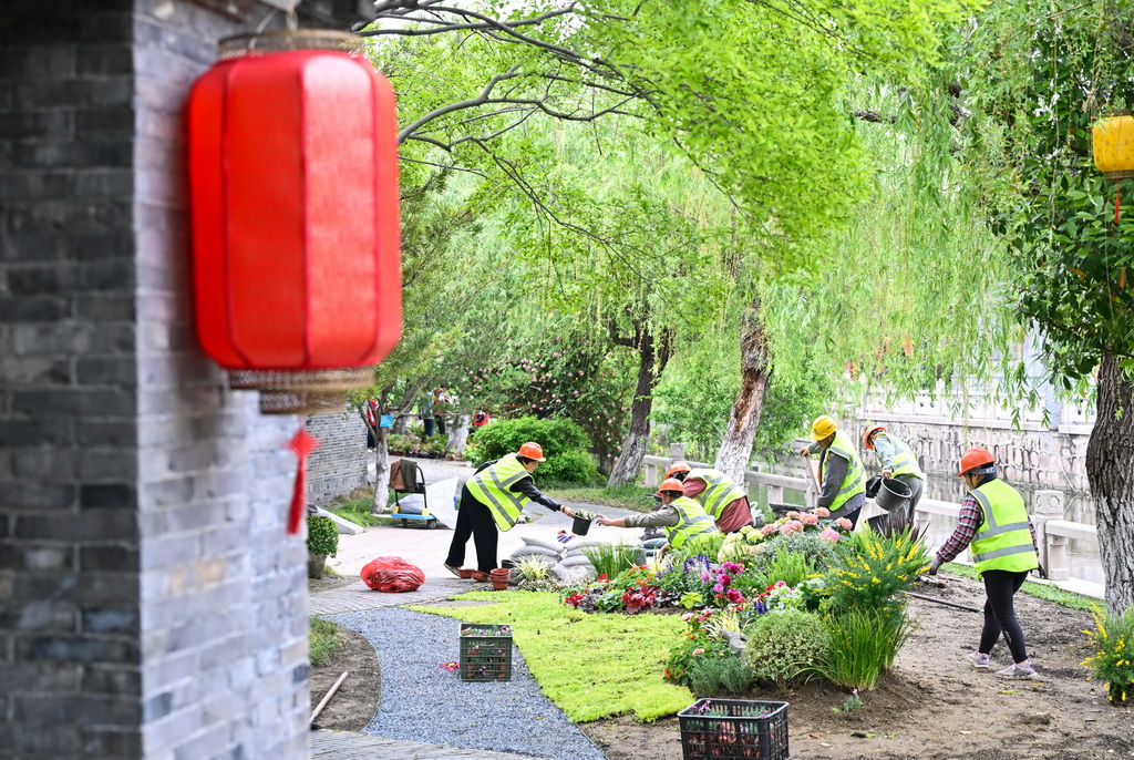 4月28日，参赛队伍在如皋水绘园风景区营造花境作品。