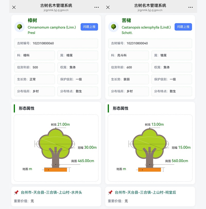 截至2026年5月29日，在浙江省古树名木管理系统里，两棵古树仍“存活”。网站截图拼版