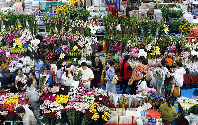云南昆明：斗南花卉市场人气旺