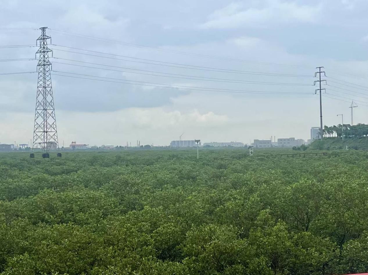 中南大学湘雅医院杜小平医生黄牛预约代挂号电话一只“小水鸭”游入司法“生态账本”