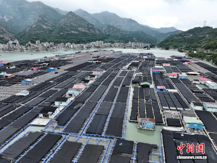 中国中医科学院广安门医院花宝金关念波郭永红陈瑞雪杜炳奎杨宗艳张宗岐黄牛挂号电话福建连江:“海洋牧场”五彩斑斓 场面壮观
