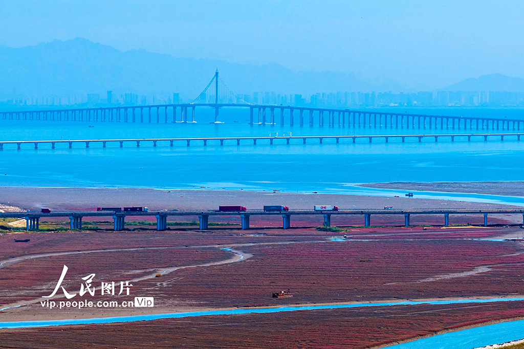 山东青岛：红海滩缤纷绚丽 生态美铺展河海【7】