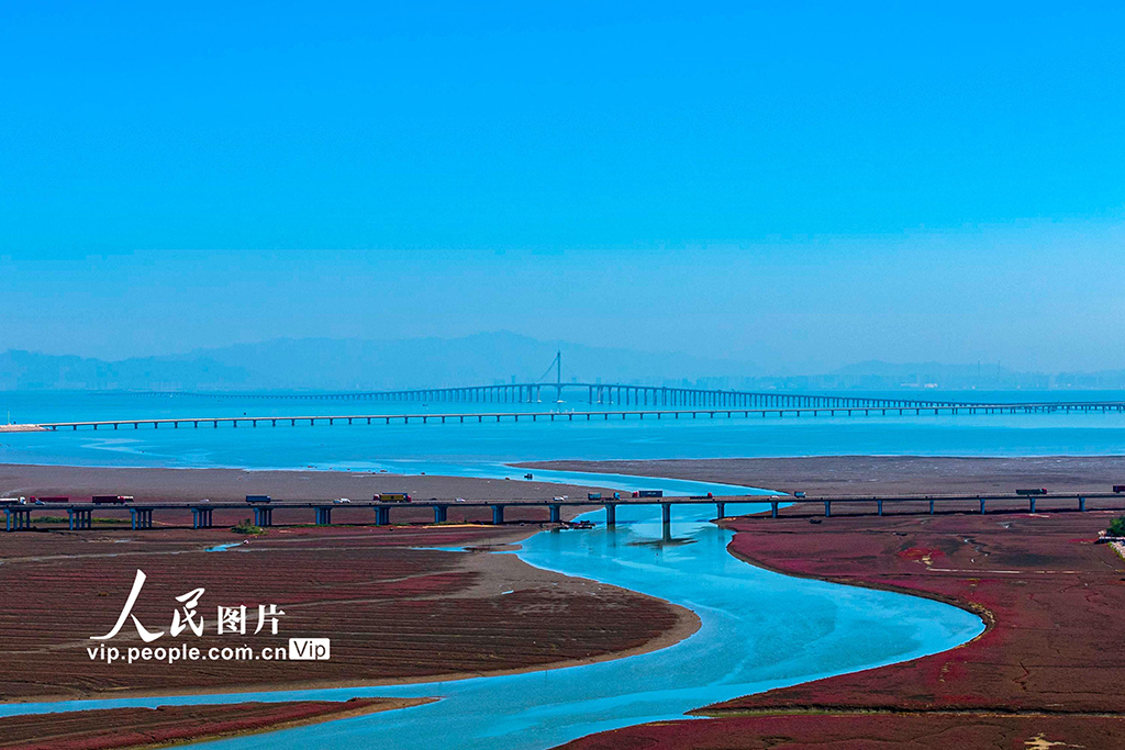 山东青岛：红海滩缤纷绚丽 生态美铺展河海【8】