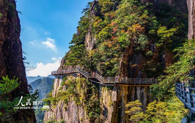 安徽：秋染黄山 层峰叠翠引客来