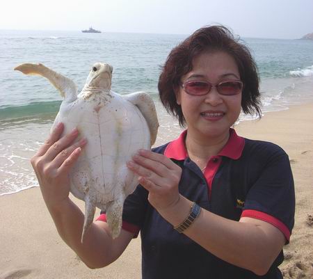 南海海龟放流活动暨2006国际海龟年宣传月启