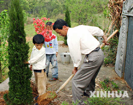 4月1日,江西省德安县河东乡后田村村民汪秋金在祖坟前植树。近年来,江西省德安县农村群众多以栽长青树等新方式来祭奠故人。新华社发(李诗彪 摄)